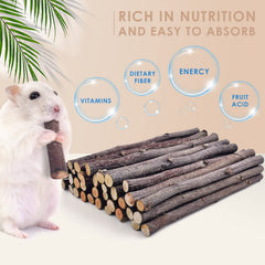 Palitos de Bissap para chinchillas, sabor natural y palatabilidad.