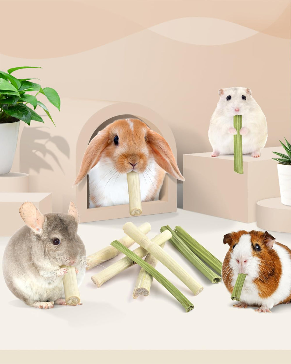 Regalo natural para mascotas Bissap: ingredientes 100% naturales.