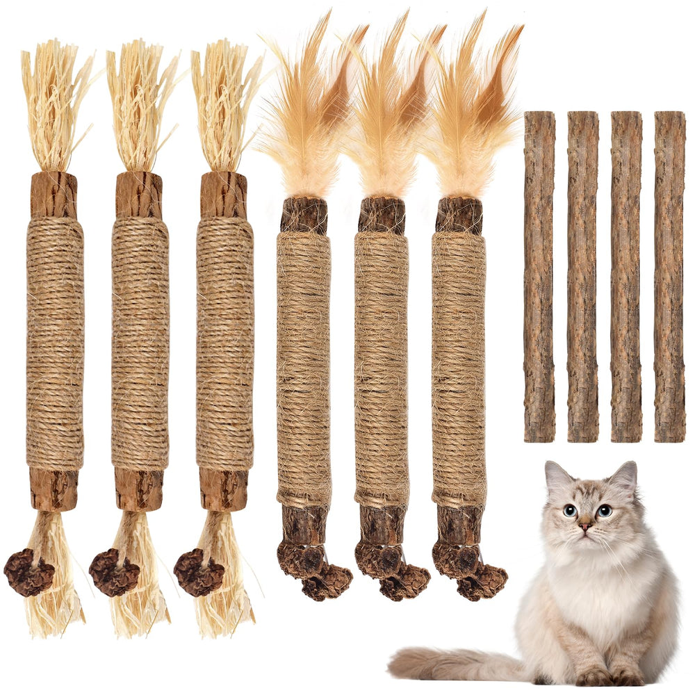 Bissap palitos mordedores de matatabi, posibles beneficios para juego y exploración del gato.