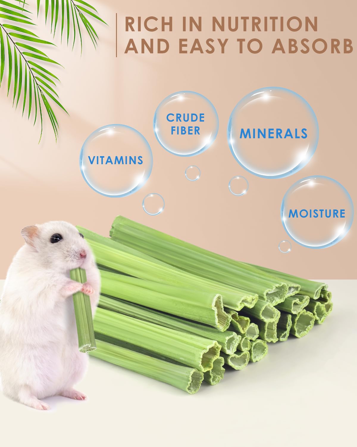 Bissap palitos de papaya naturales para conejillos de indias