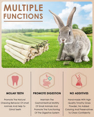 Bissap palitos tallos de papaya, opción natural para masticar y entretener.