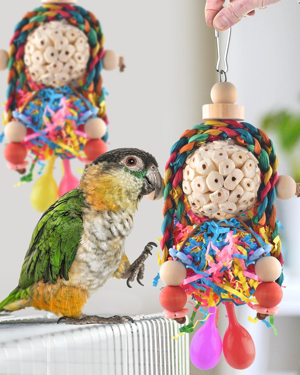 Bissap para aves pequeñas y medianas, tamaño adecuado para diversas especies.