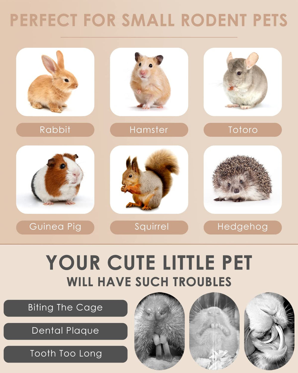 Bissap Rabbit Chew Sticks – paquete colorido para conejos en juego activo