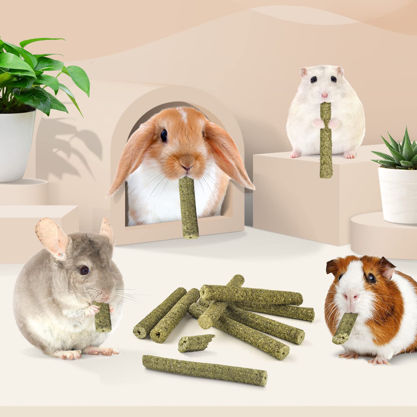 Bissap snack seco práctico para roedores y mascotas pequeñas.