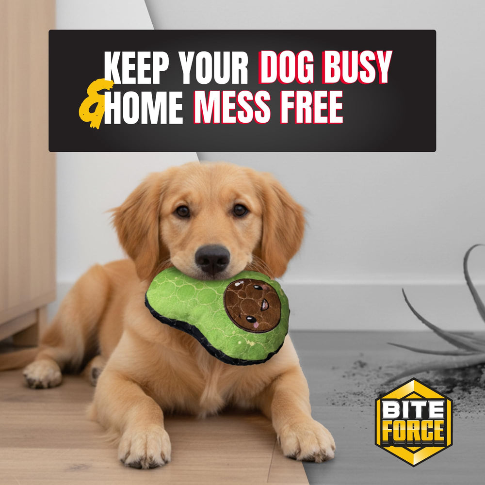 Bite Force Avocado regalo para fiestas, diversión segura para perros.