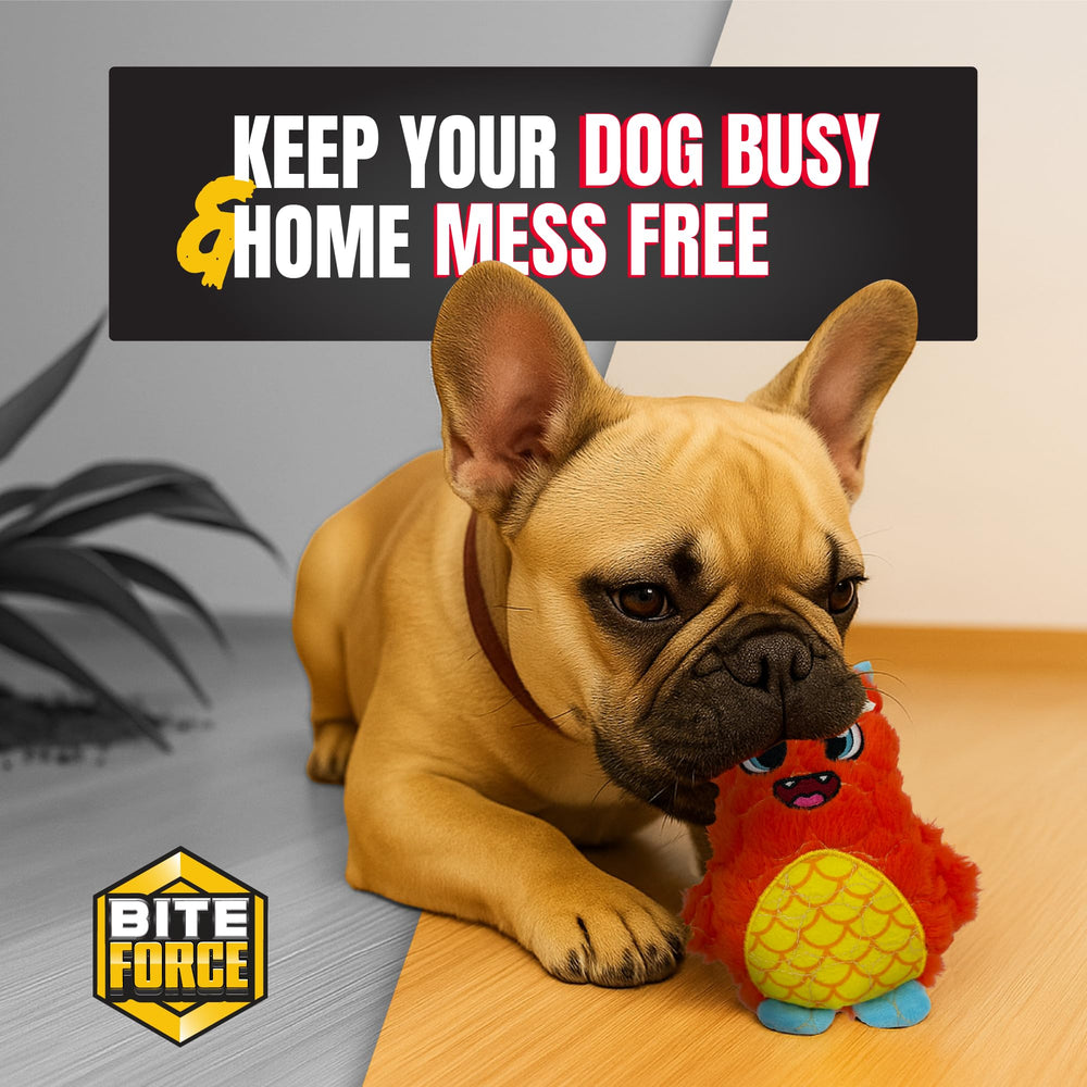 Bite Force ideal como regalo en fiestas y cumpleaños