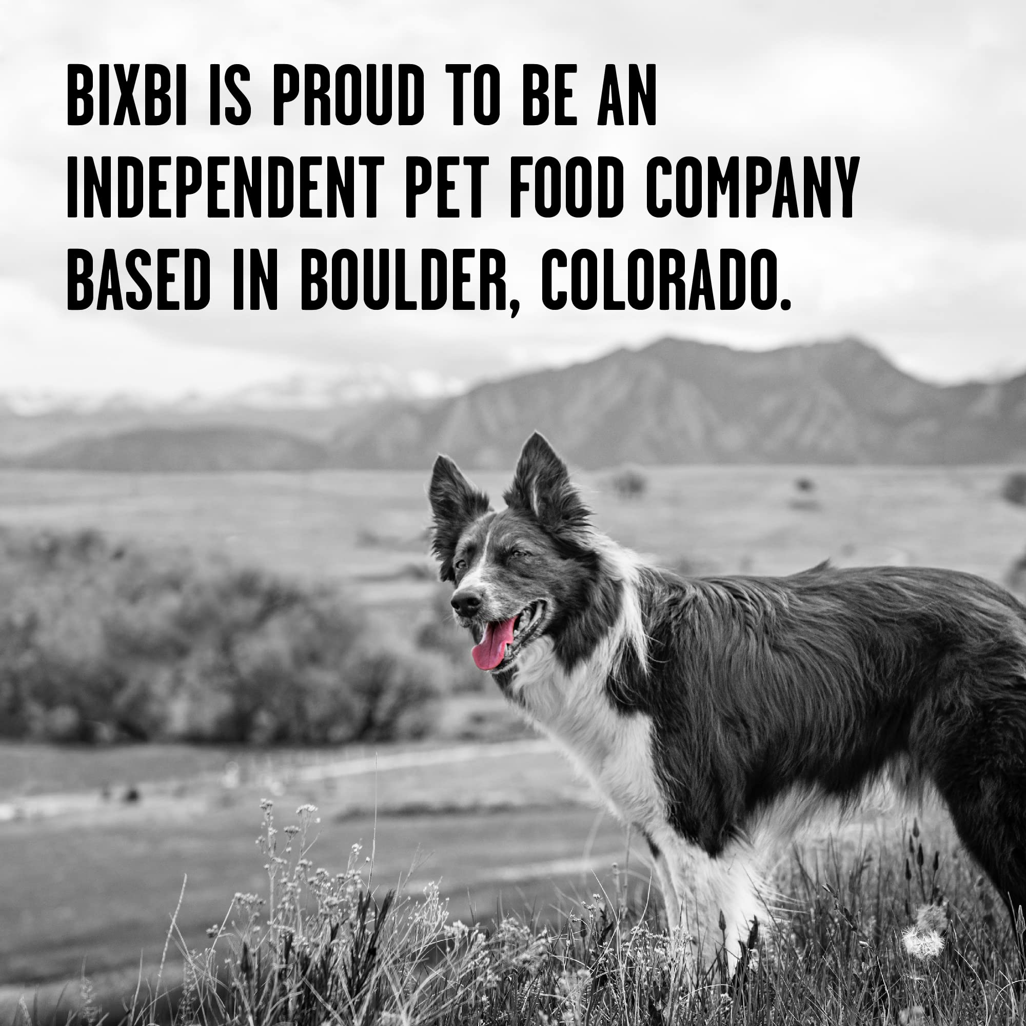 BIXBI Liberty beneficio digestivo con carne real.