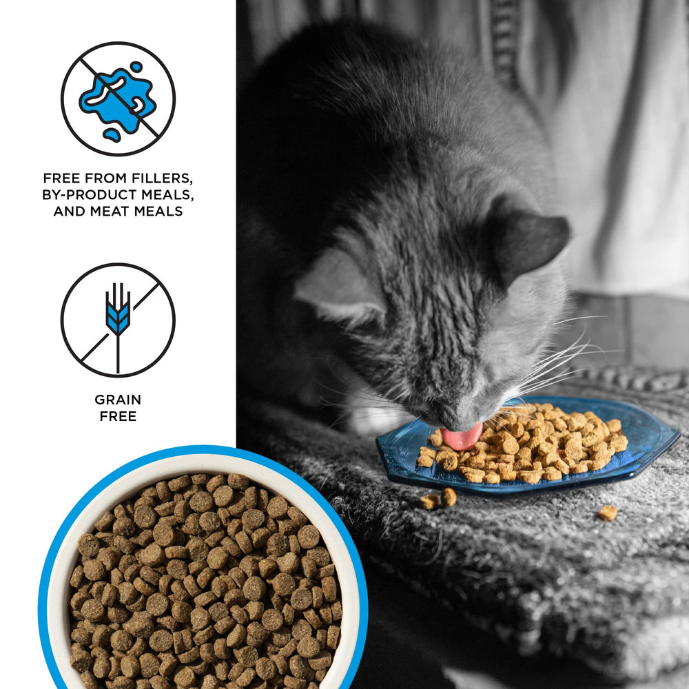 BIXBI Liberty: trozos de salmón visibles sugiriendo sabor y digestibilidad