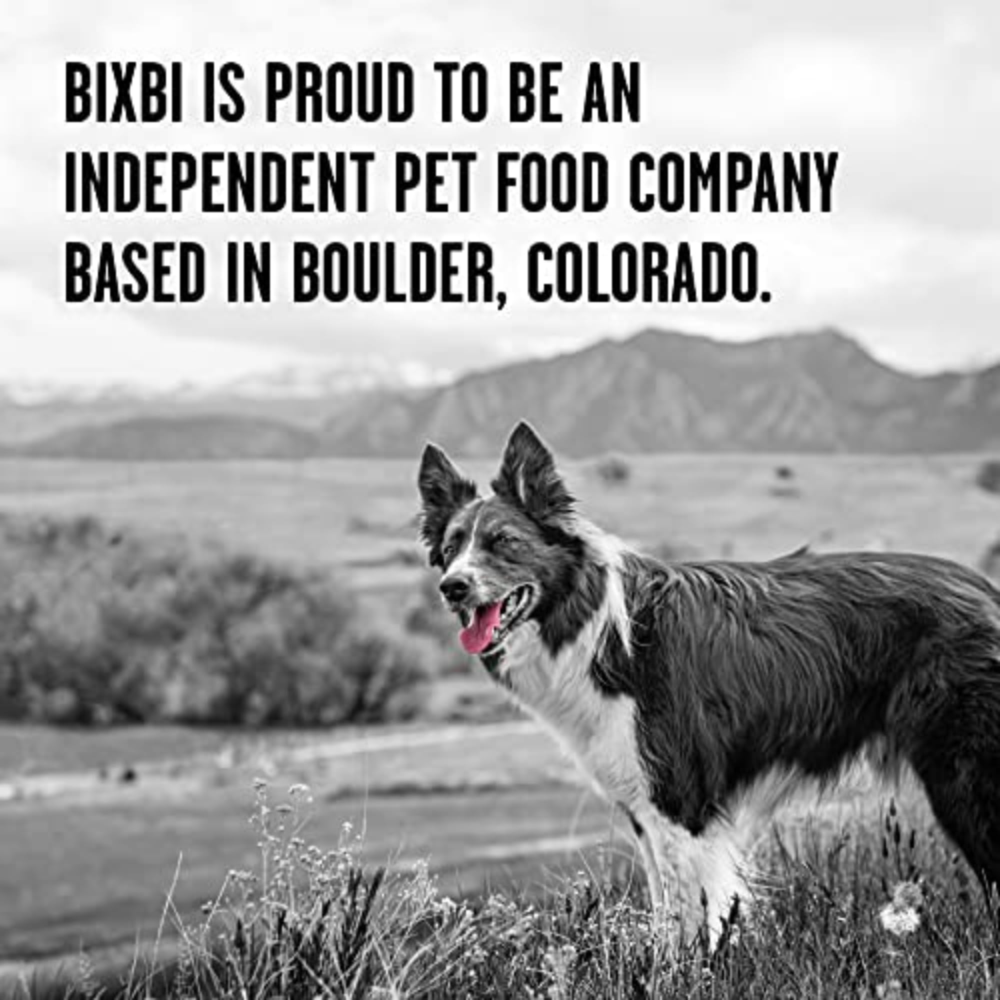 BIXBI Liberty entrenamiento premio perfecto para reforzar conductas