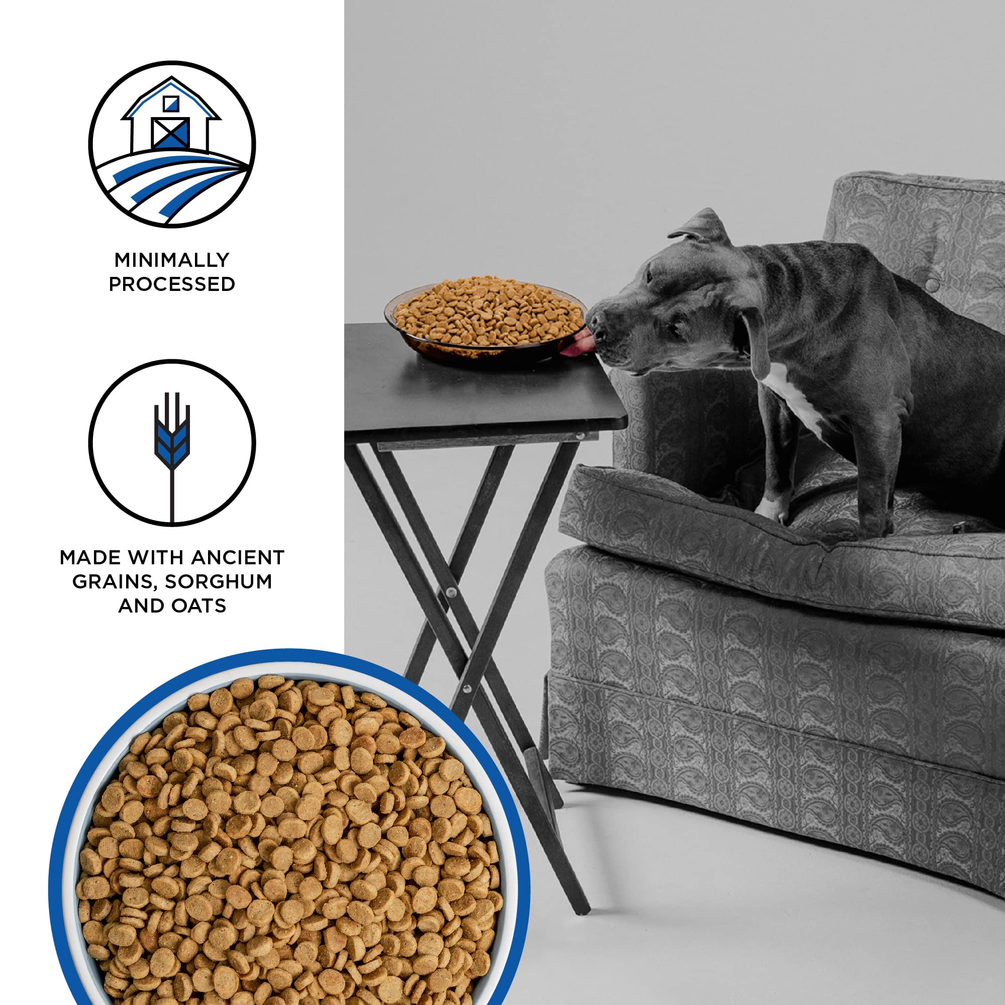 BIXBI Liberty proteína alta: 26% para apoyo muscular en perros activos y en crecimiento