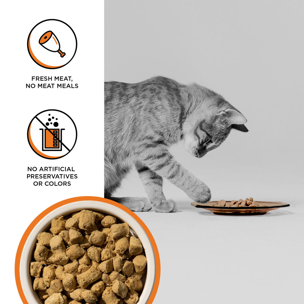 BIXBI RAWBBLE porciones crujientes, fáciles de medir para cada comida.