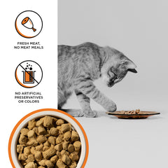 BIXBI RAWBBLE porciones crujientes, fáciles de medir para cada comida.