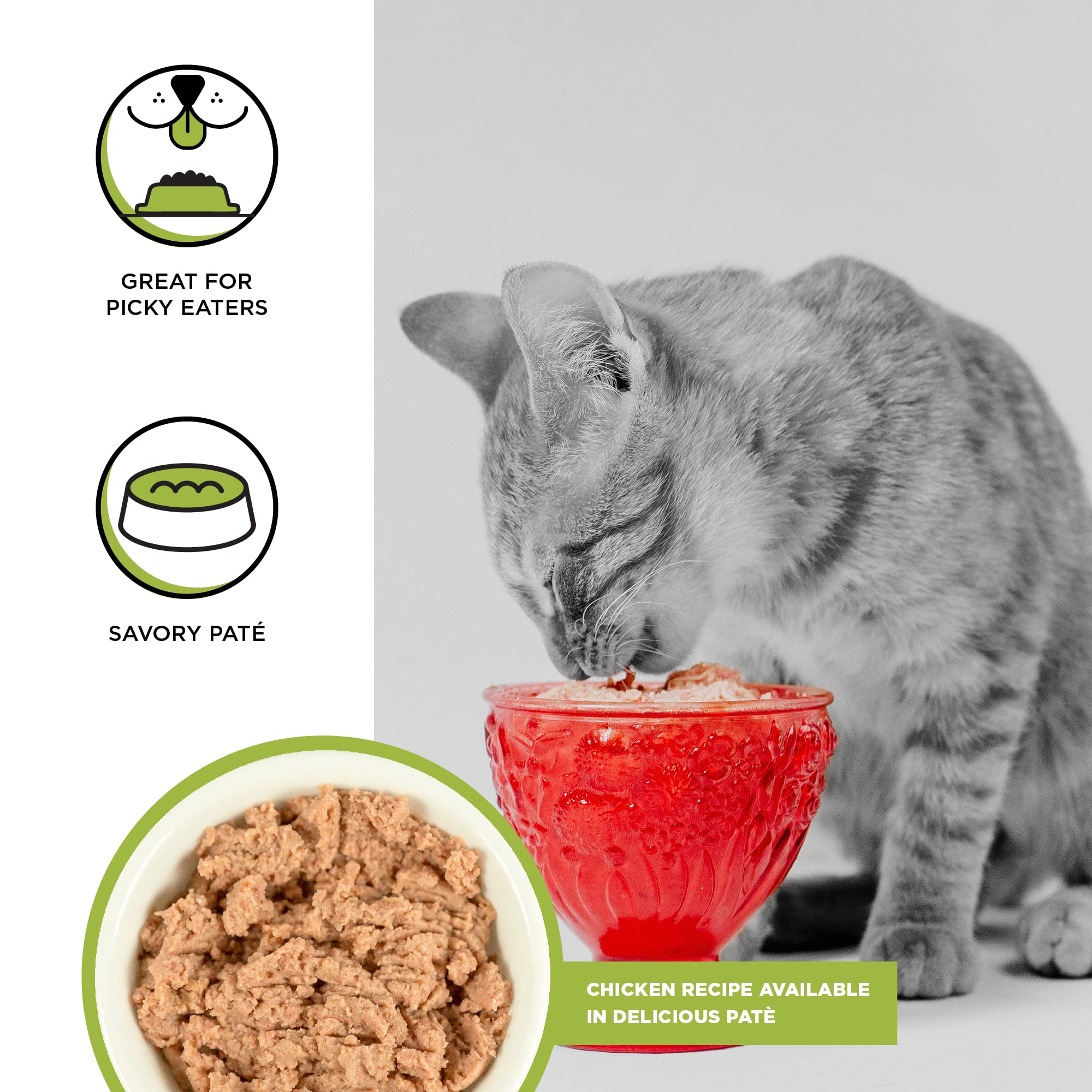 BIXBI Rawbble pate de pollo para gatitos, lata 02, textura suave para alimentar