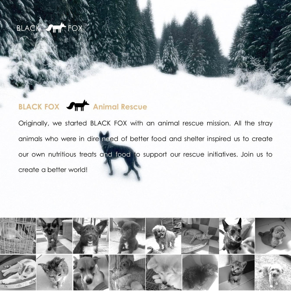 BLACK FOX para perros y gatos, entrenamiento diario sin gluten.