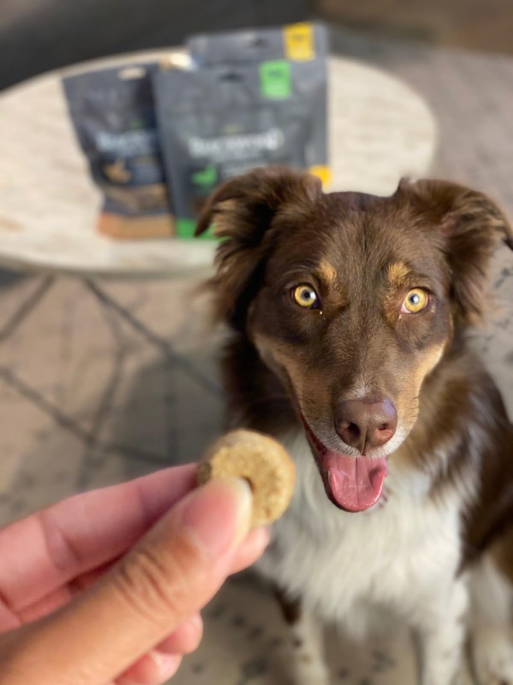 Entrenamiento con porciones de Blackwood, recompensa sabrosa para perros pequeños.