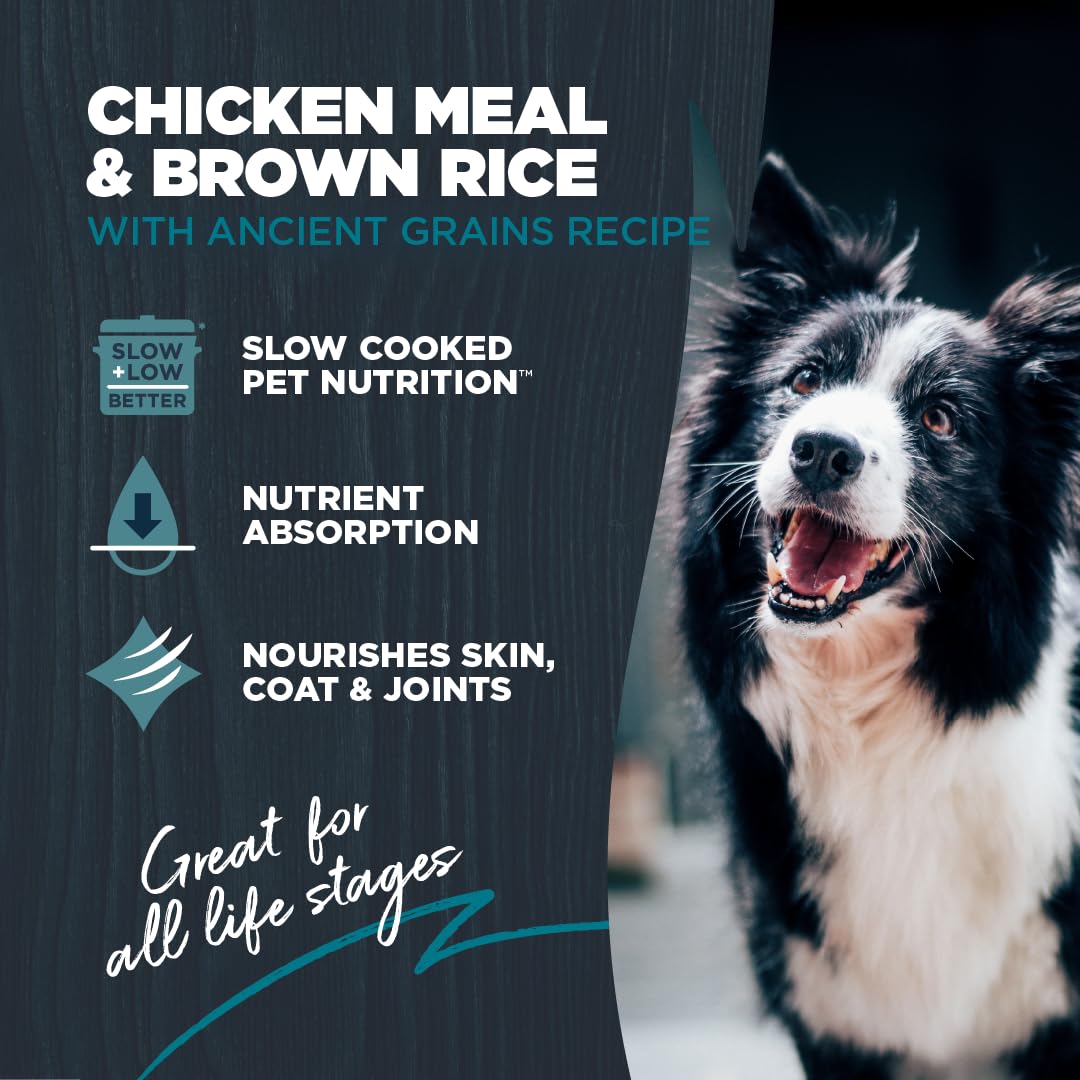 Blackwood pollo-arroz-granos-antiguos: croquetas balanceadas para energía diaria.