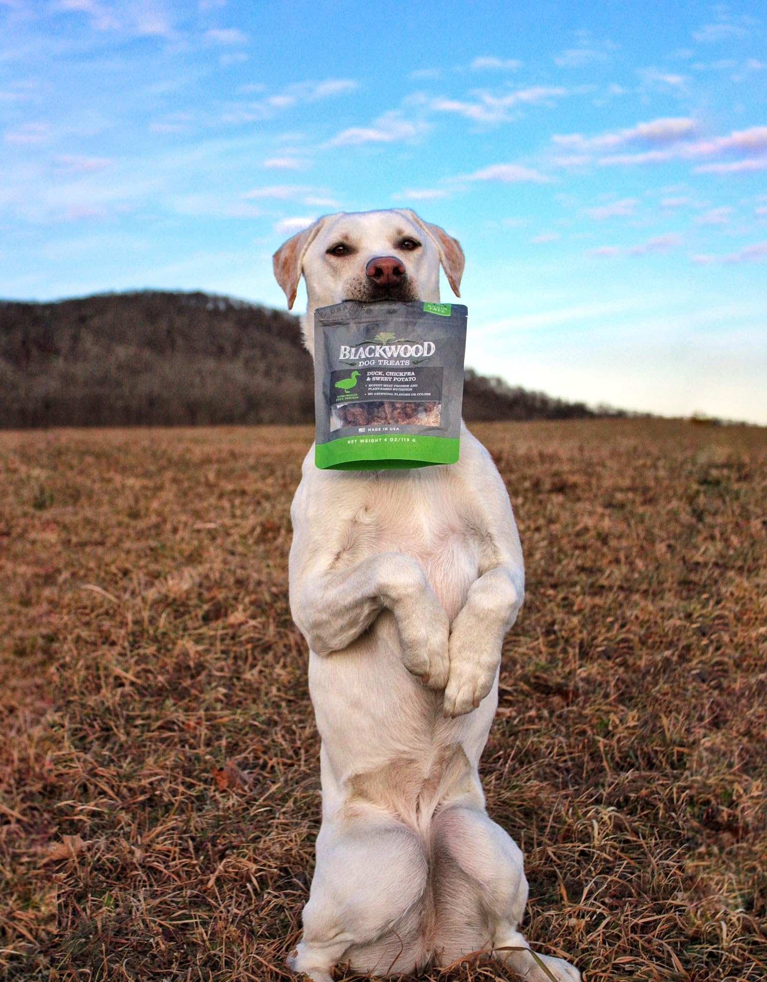 Blackwood porciones pequeñas para perros pequeños, fáciles de manejar
