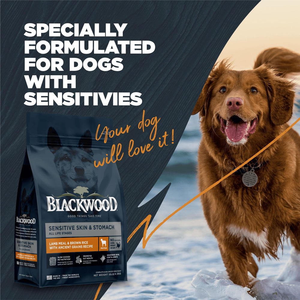 Blackwood sabor atractivo y aromas que invitan a comer