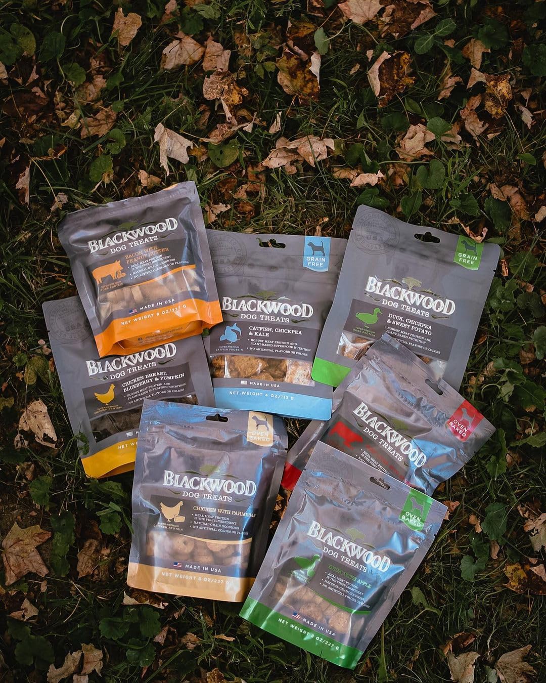 Snack para parque y playa con Blackwood, perfecto para paseos.