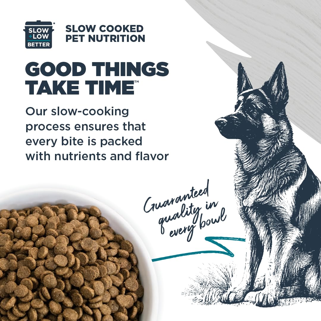 Blackwood Zinpro ProPath minerales: soporte digestivo e inmunitario para perros.
