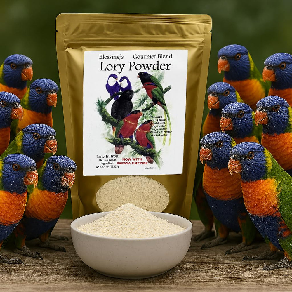 Polvo Blessings Lory servido en tazón para la comida diaria de aves.