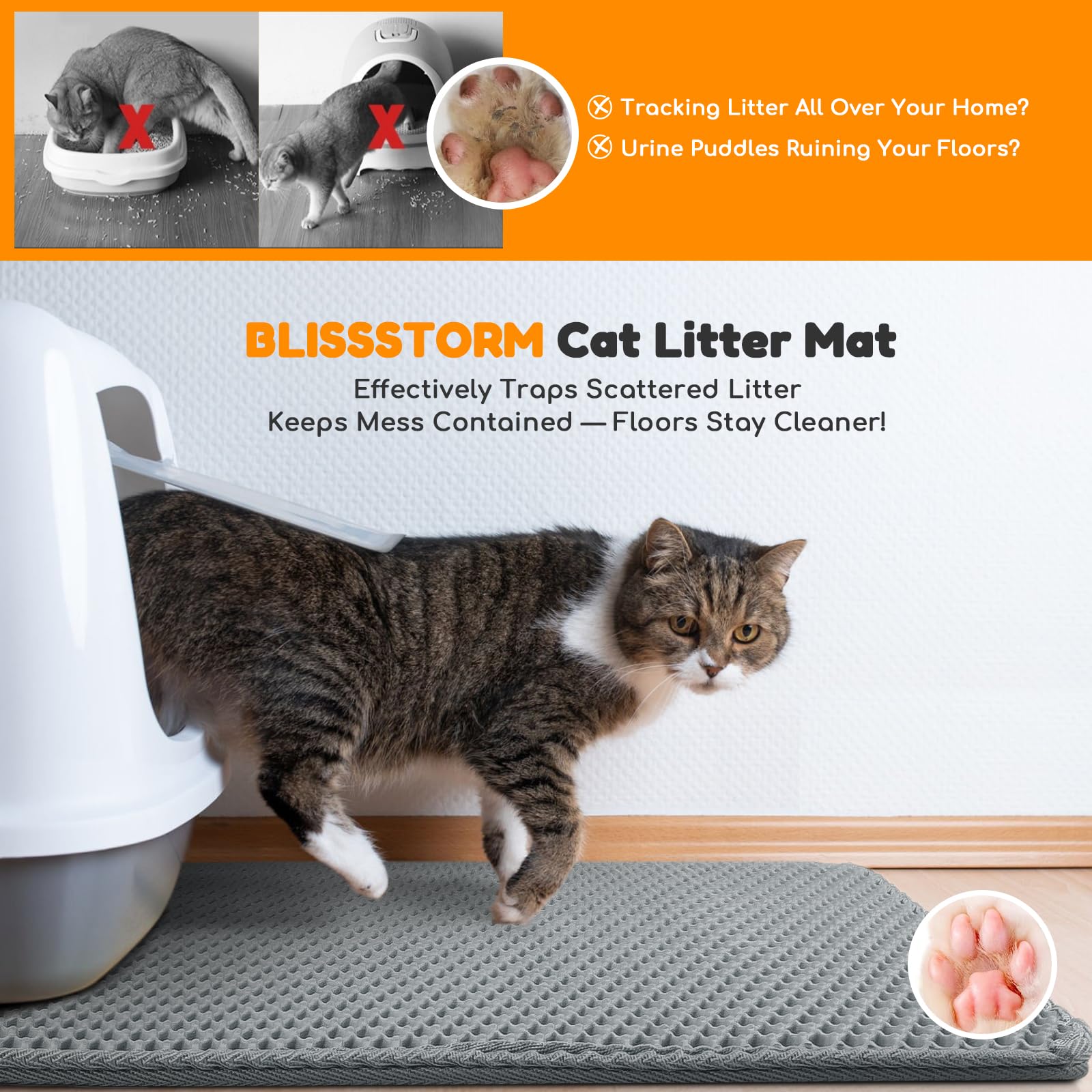 Olor neutro y ambiente más limpio con Blissstorm.