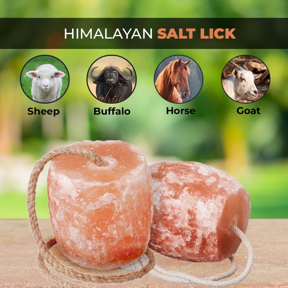 Bloque de sal Himalayo para caballos, mineral natural y práctico.