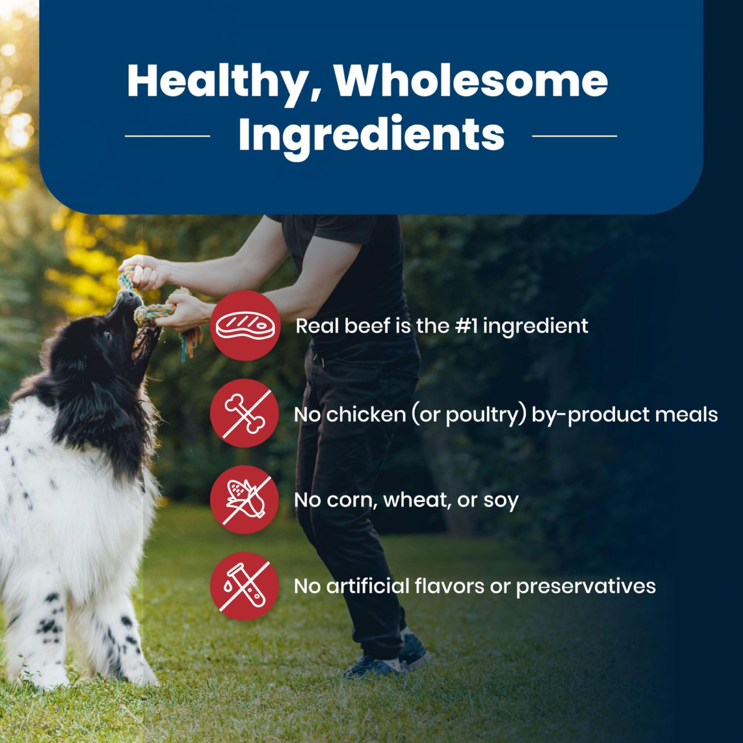 Blue Buffalo antioxidantes y vitaminas para inmunidad general.