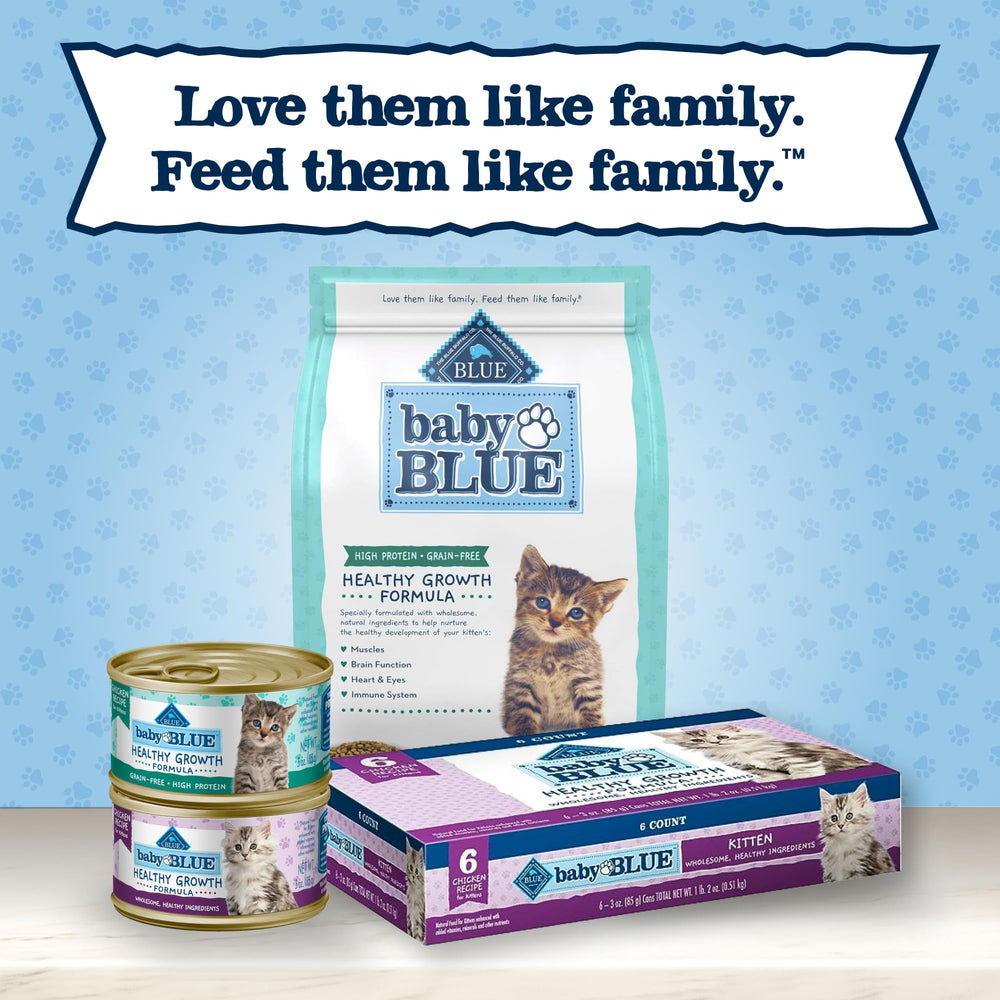 Blue Buffalo Baby Blue, gatito jugando, experiencia de alimentación para tardes activas.