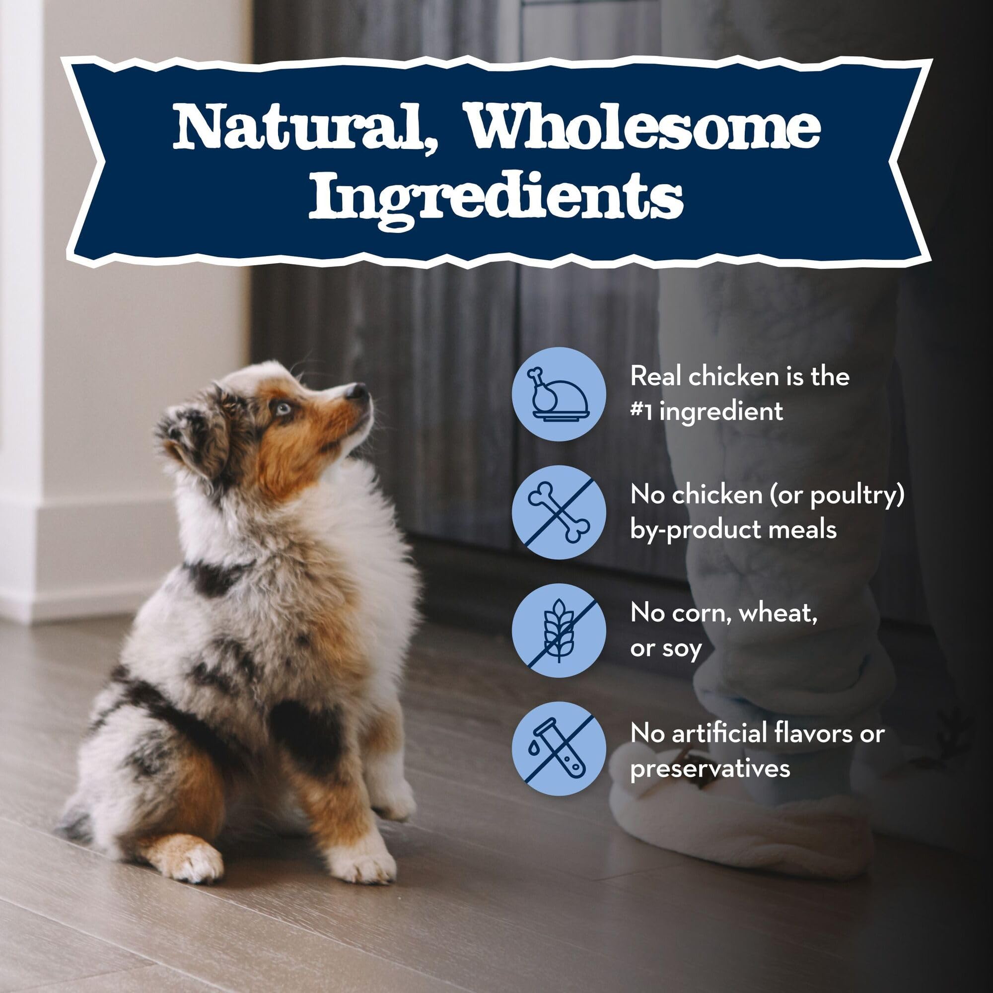 Blue Buffalo Baby Blue, LifeSource Bits antioxidantes para soporte inmune.
