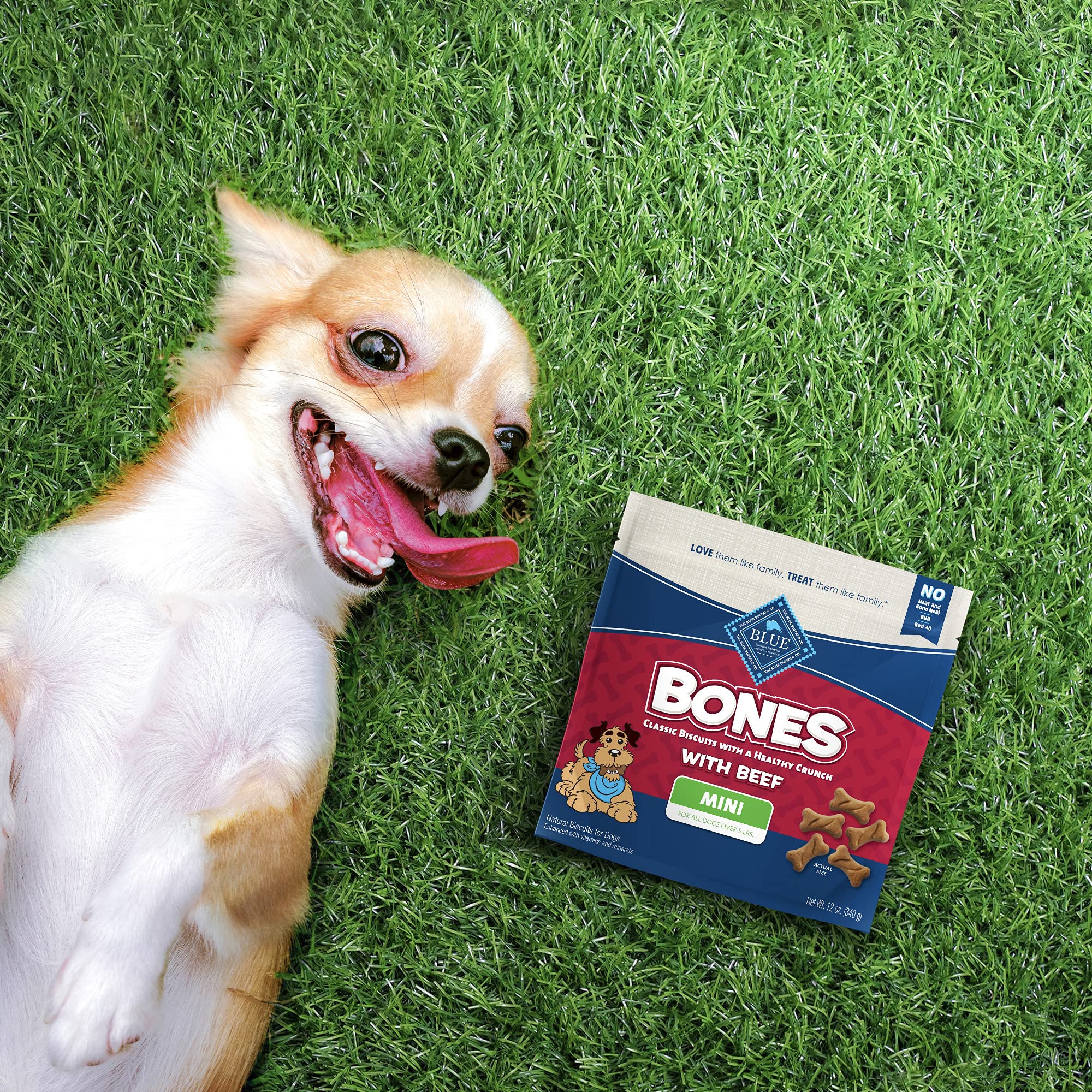 Blue Buffalo Bones para adiestramiento suave, recompensa segura para tus perros.
