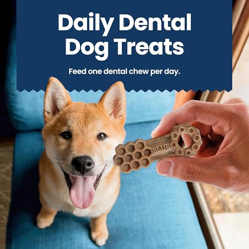 Blue Buffalo Dental Chews: snack diario con sabor agradable para perros grandes.