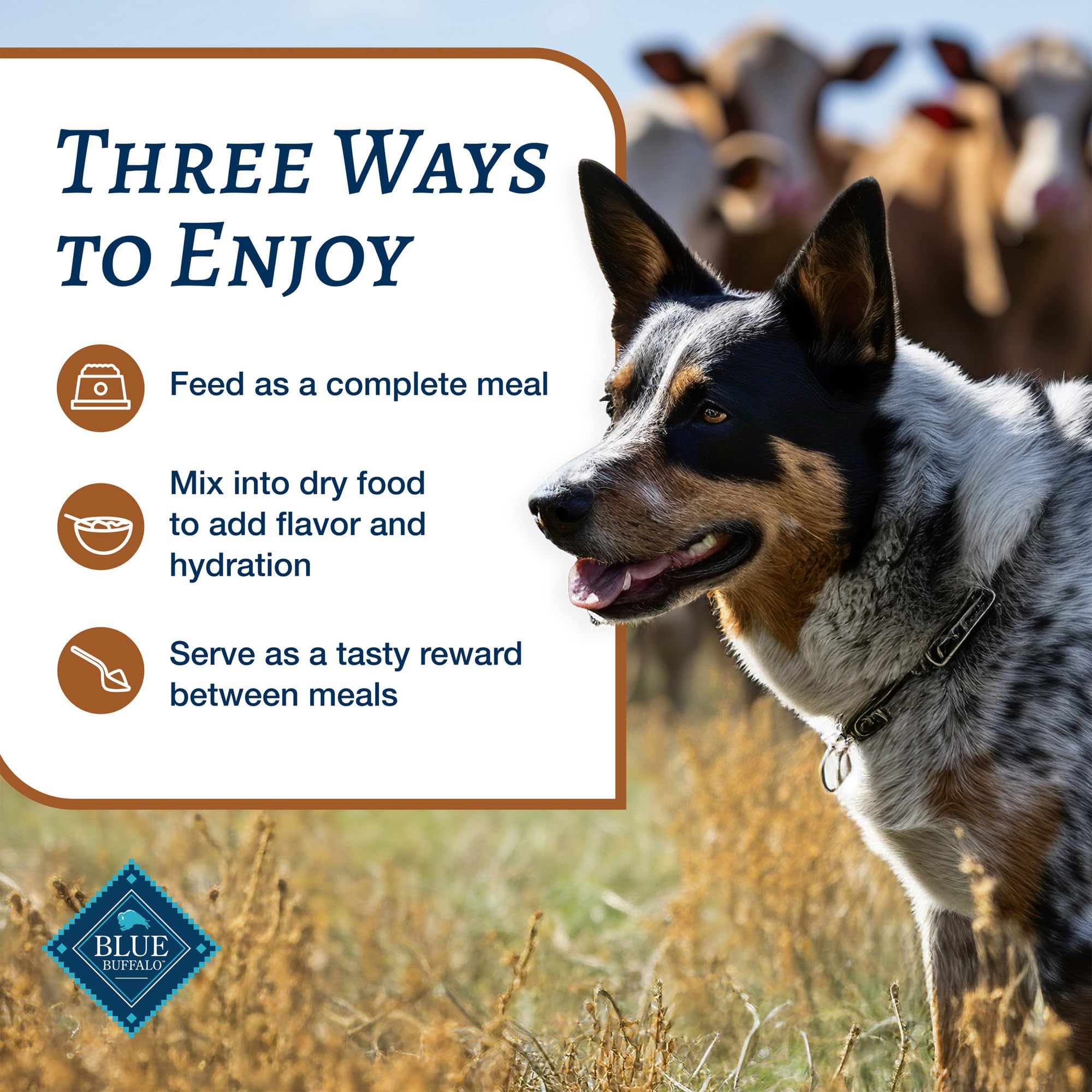 Blue Buffalo Family Favorites, nutrición natural para perros, en latas de 12.5 oz.