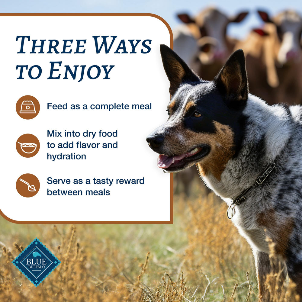 Blue Buffalo Family Favorites, nutrición natural para perros, en latas de 12.5 oz.