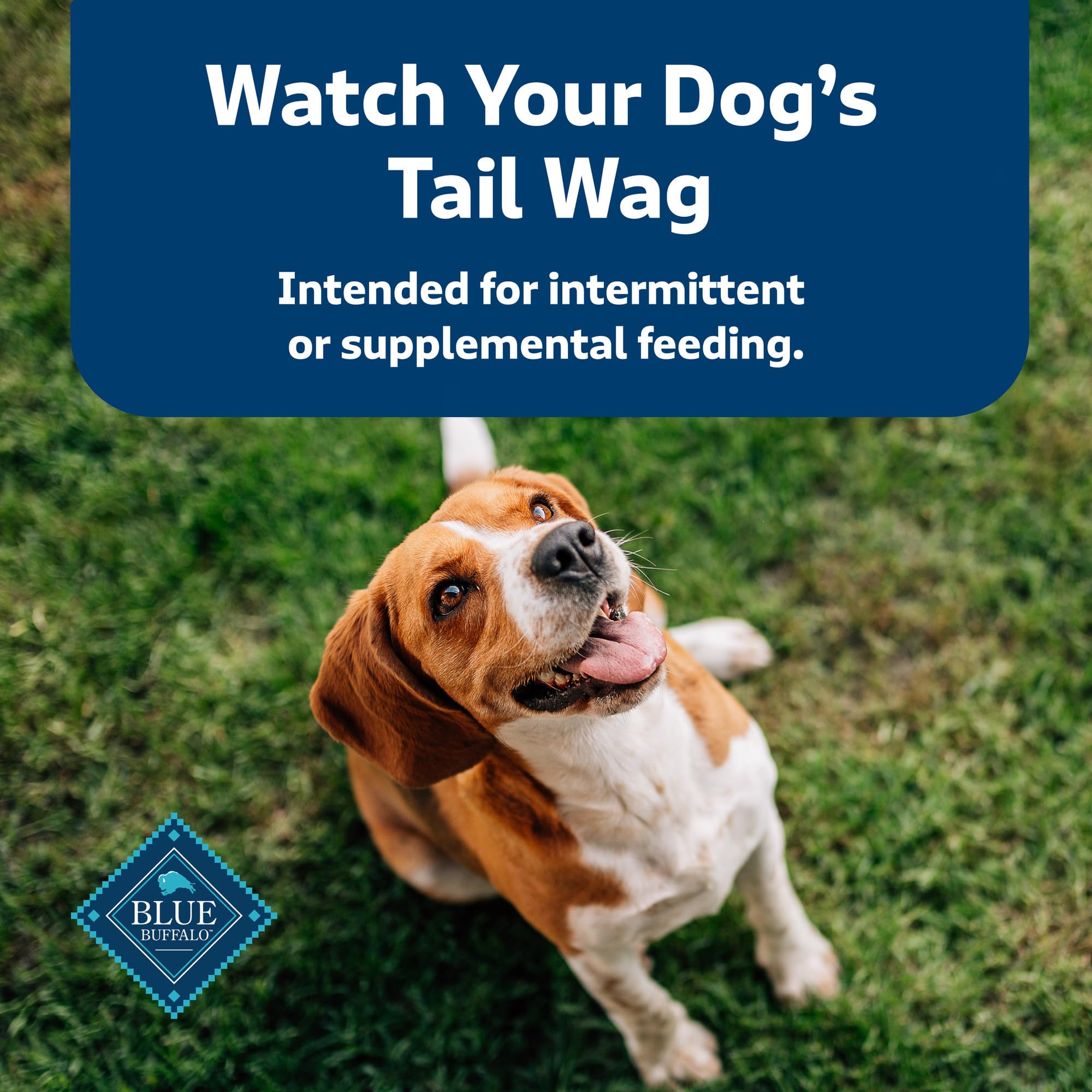 Récompense quotidienne savoureuse et pratique pour chien et maître.