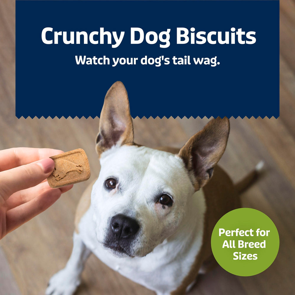 Texture croquante adaptée aux chiens qui aiment le crunch