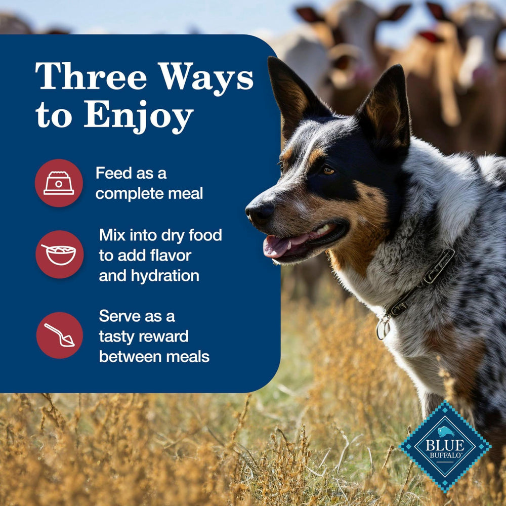 Blue Buffalo Homestyle facilidad para mezclar con comida seca.