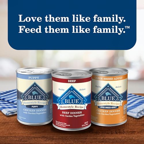 Blue Buffalo Homestyle perro disfruta cena sabrosa: momento agradable.