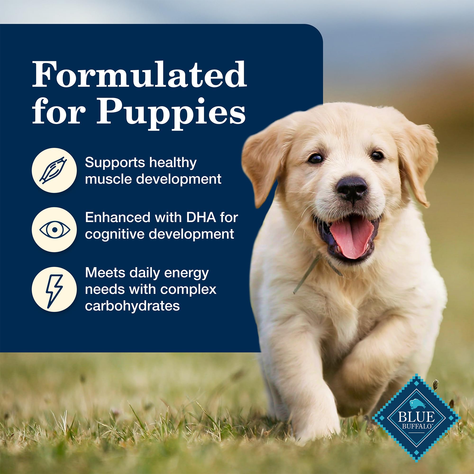 Blue Buffalo Homestyle Puppy: granos integrales para energía sostenida.