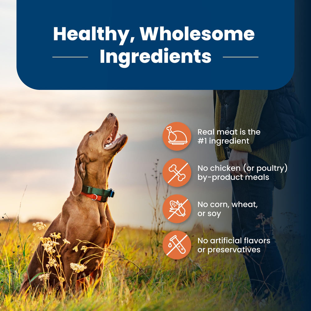 Blue Buffalo Life Protection Formula Grande: ingredientes naturales sin maíz, trigo ni soja.