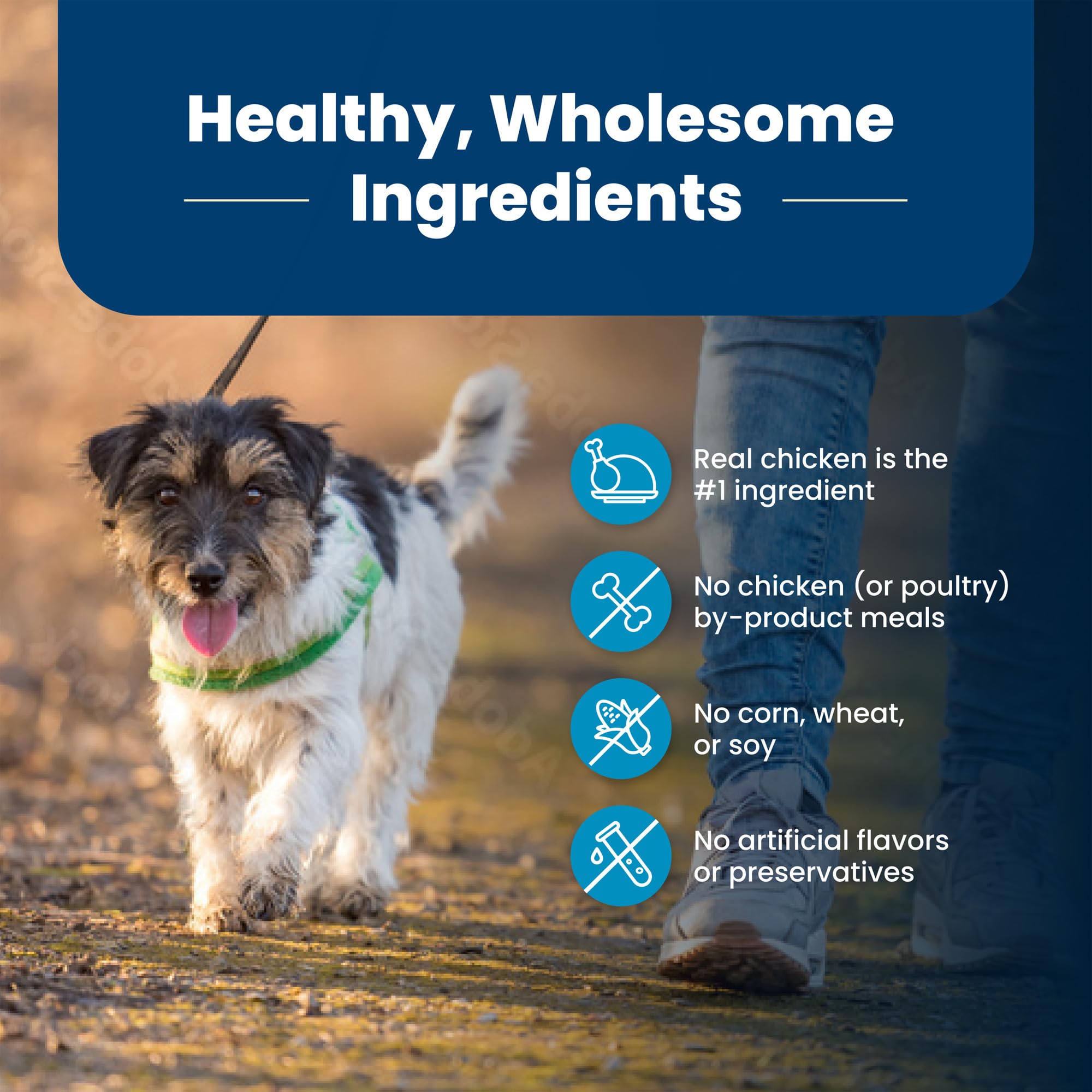 Blue Buffalo Life Protection, contiene ácidos grasos omega 3 y omega 6 para piel y pelaje.