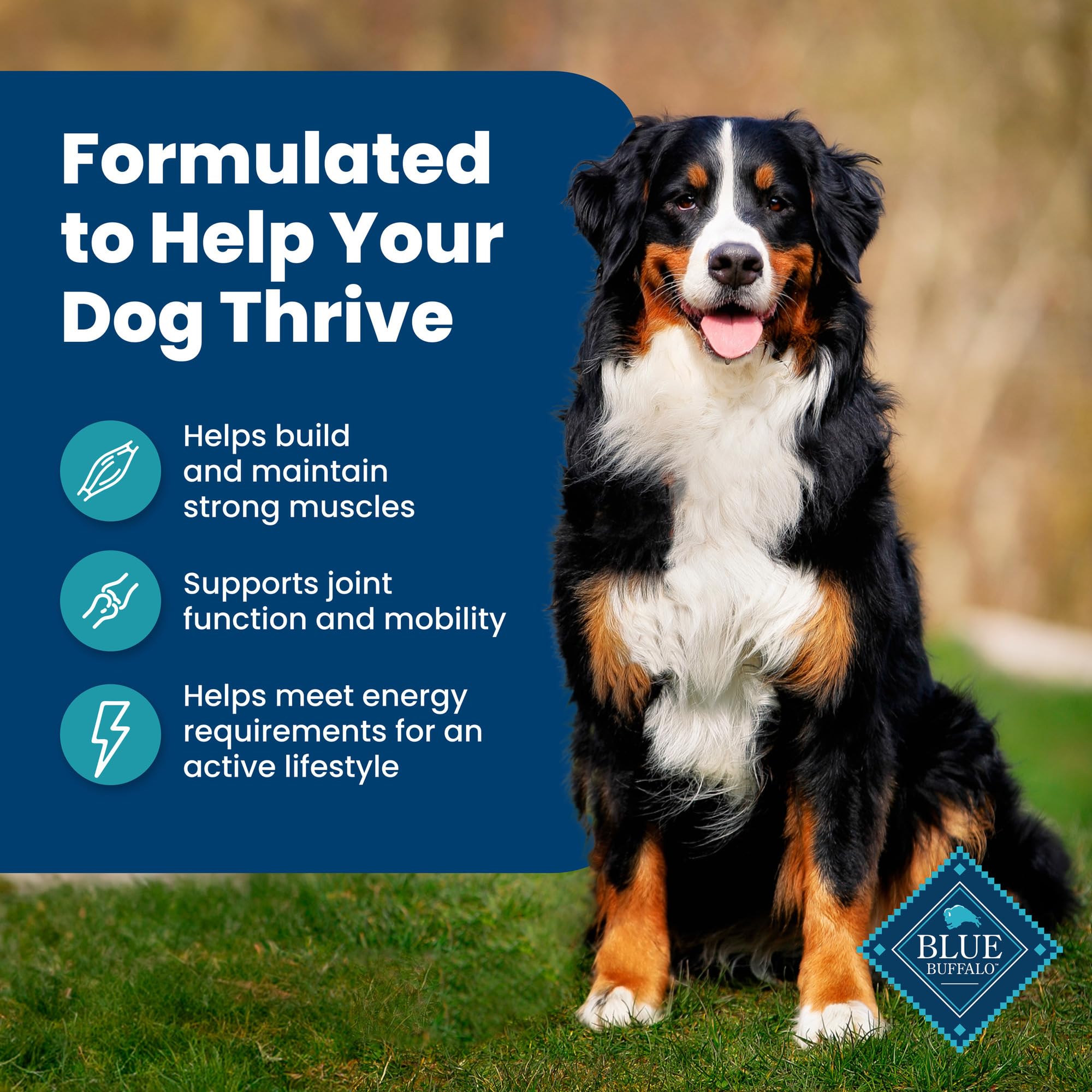 Blue Buffalo Life Protection Formula con cranberries y verduras naturales para apoyo general.