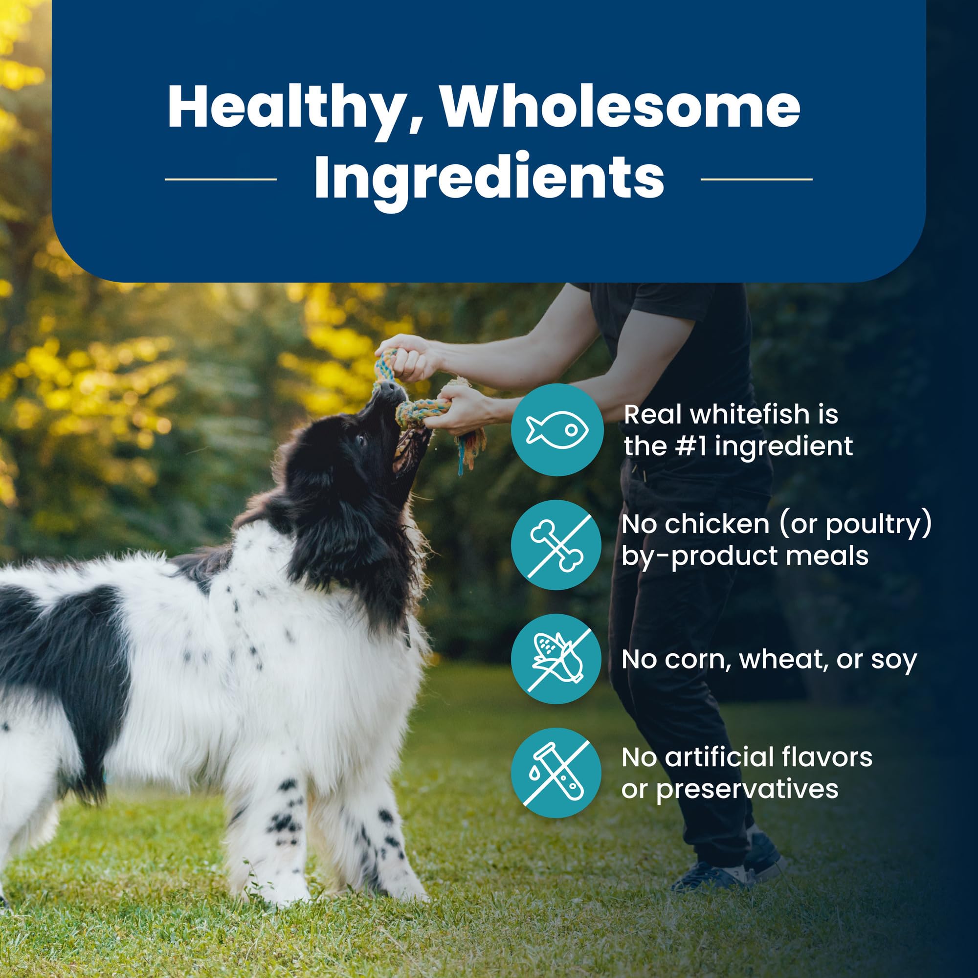 Blue Buffalo Life Protection Formula contiene fragmentos de vida fuente para apoyo inmune.