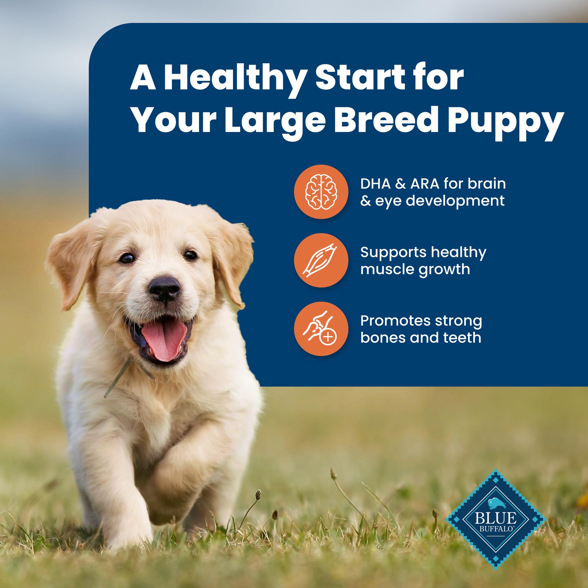 LifeSource Bits antioxidantes disponibles para apoyar el sistema inmune del cachorro.
