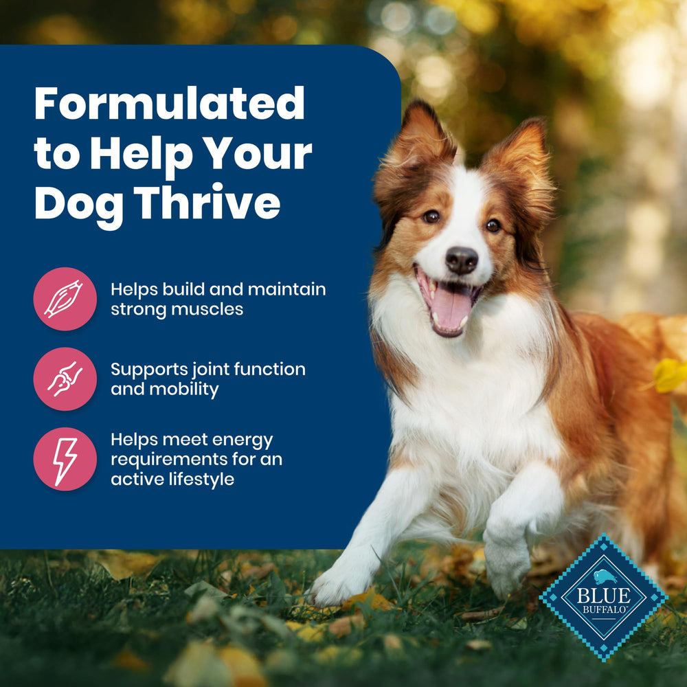 Fragmentos antioxidantes, vitaminas y minerales en Blue Buffalo para inmunidad.