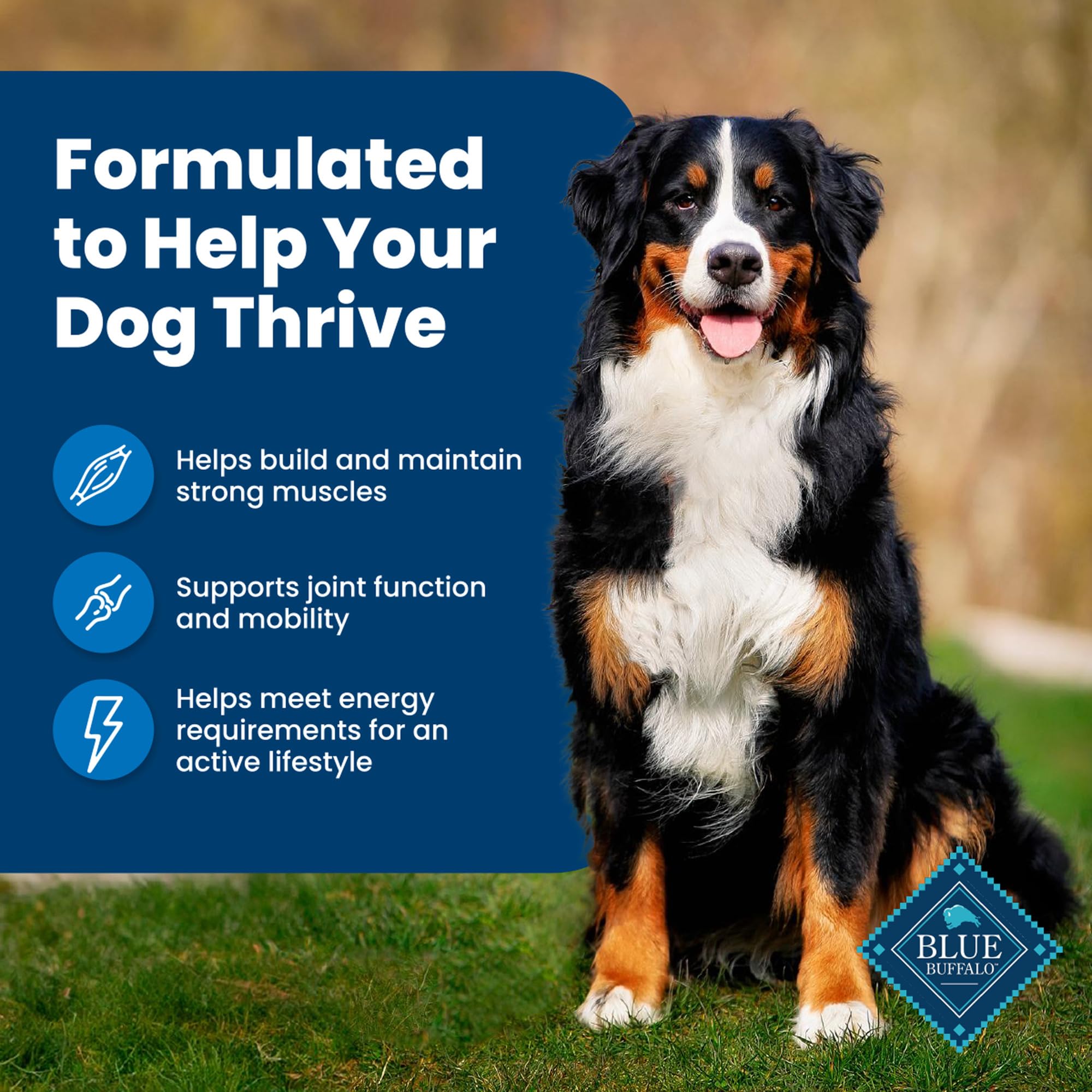 Blue Buffalo Life Protection : antioxydants et minéraux pour soutien immunitaire.