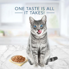Blue Buffalo Tastefuls muestra ingredientes naturales con pollo, arroz integral y batatas.