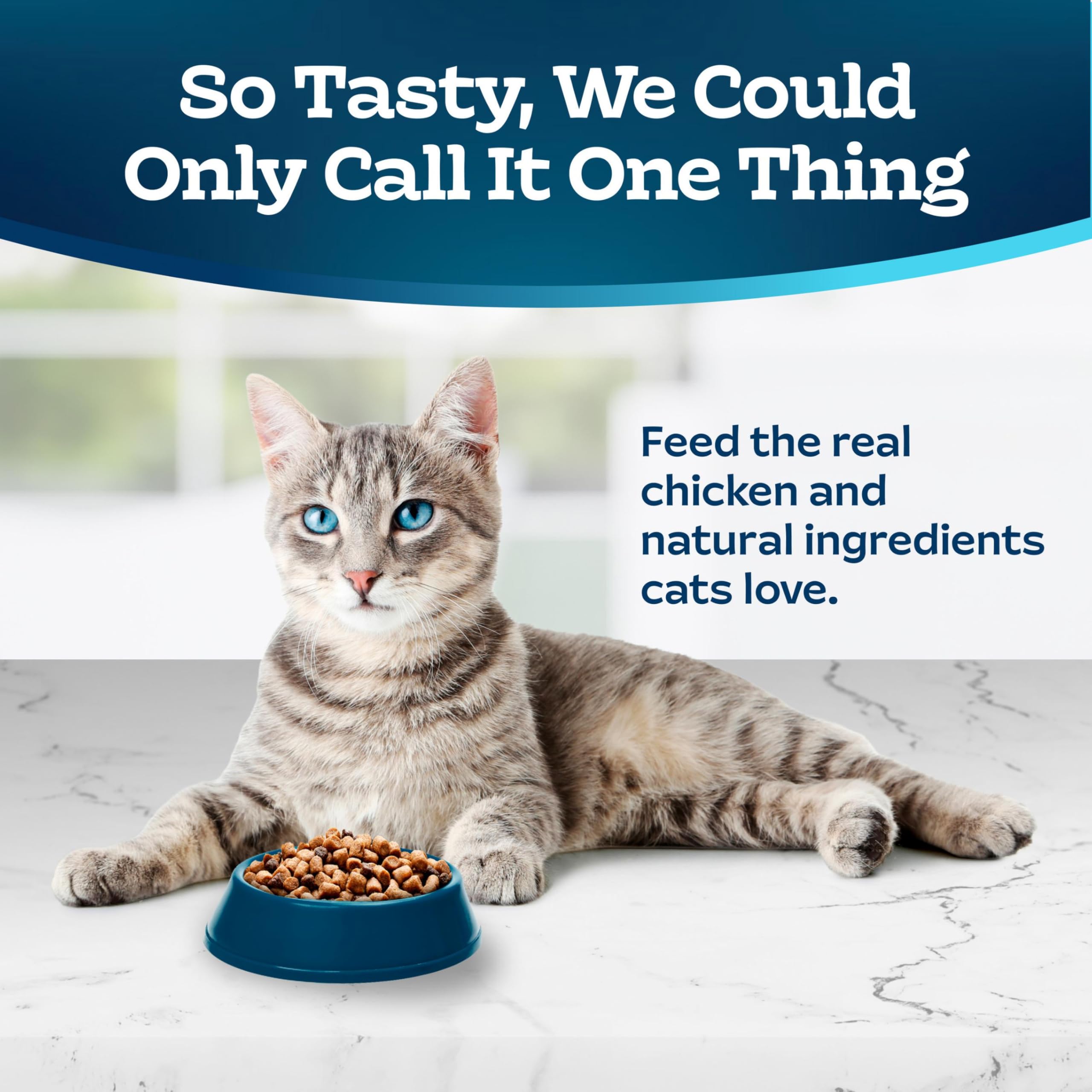 Blue Buffalo Tastefuls: sin subproductos de pollo para una dieta limpia.
