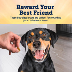 Blue Buffalo True Chews training-friendly bites ideal for quick rewards.