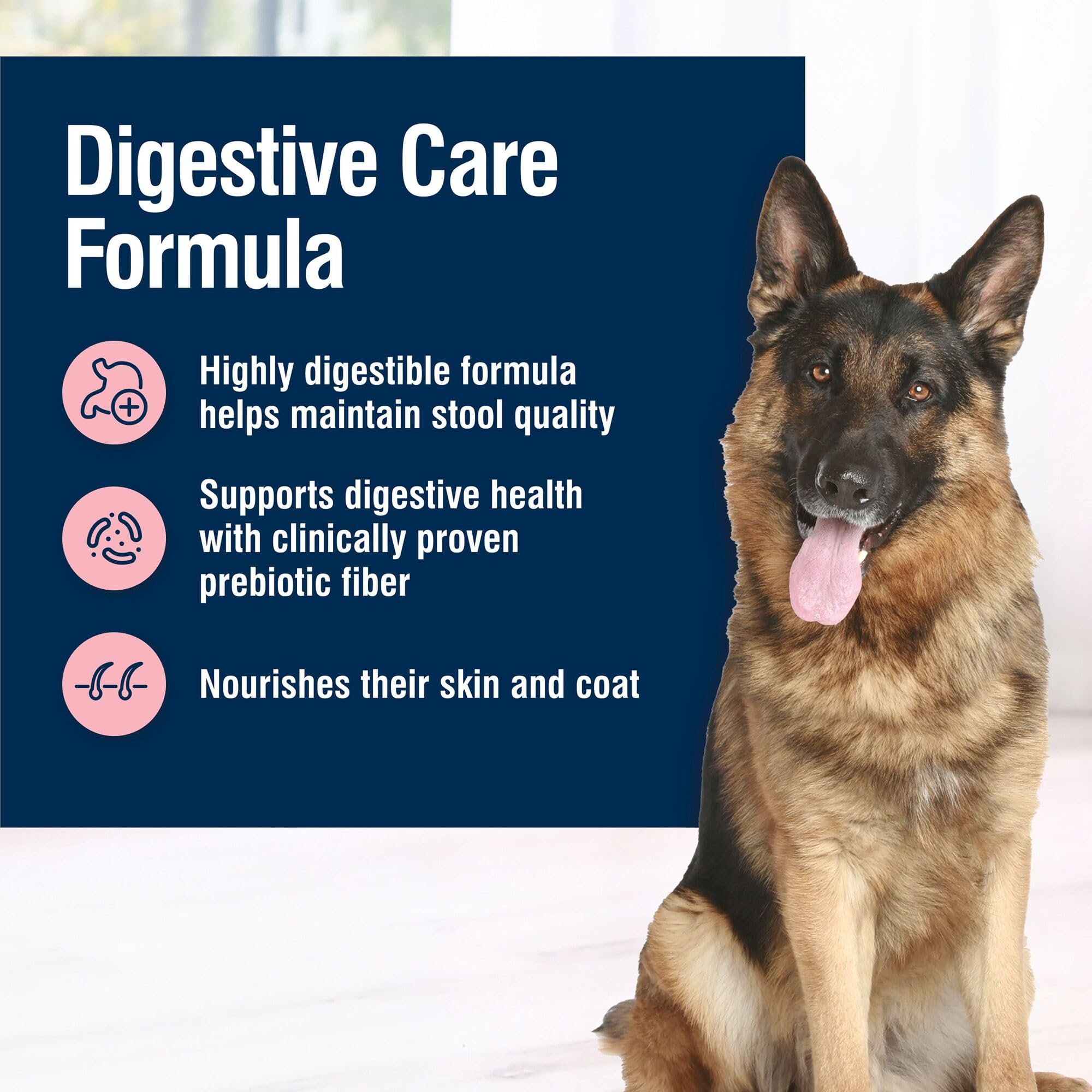 Blue Buffalo True Solutions Digestive Care: granos enteros saludables que sostienen una dieta balanceada.